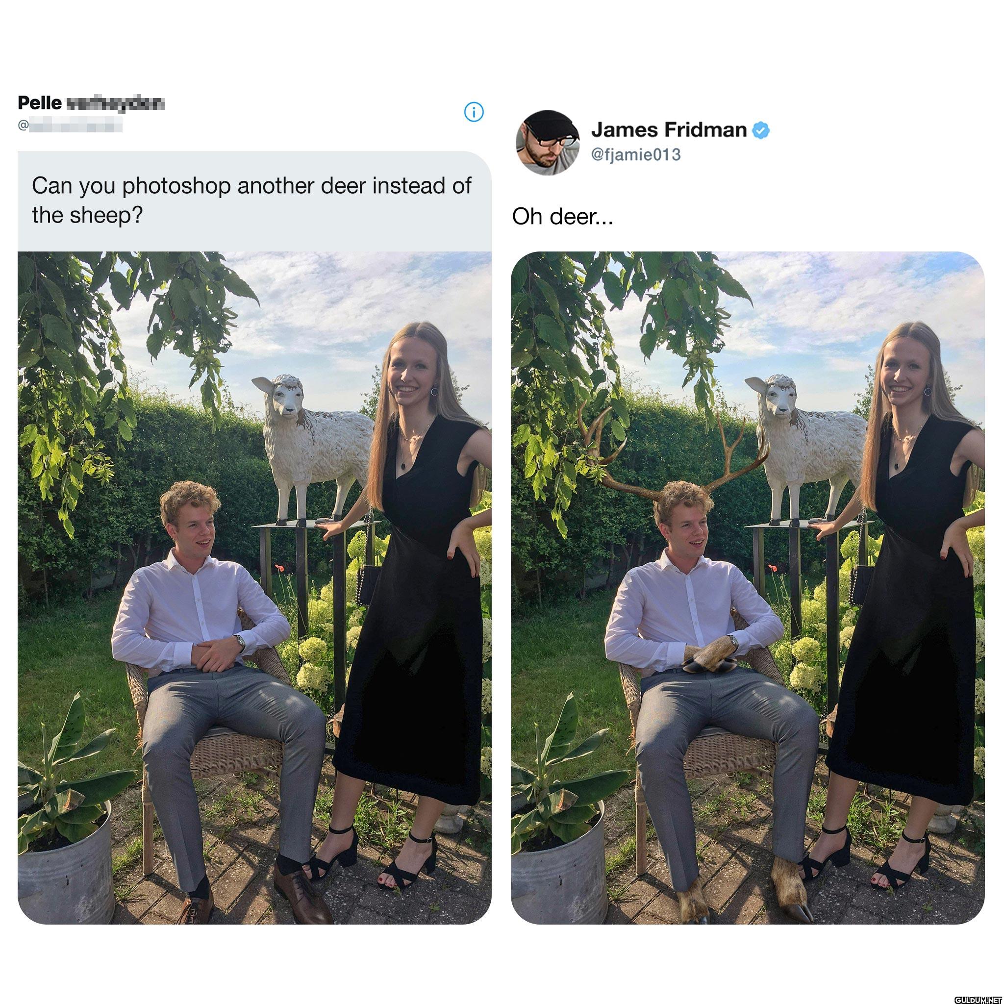 Pelleyen Can you photoshop...