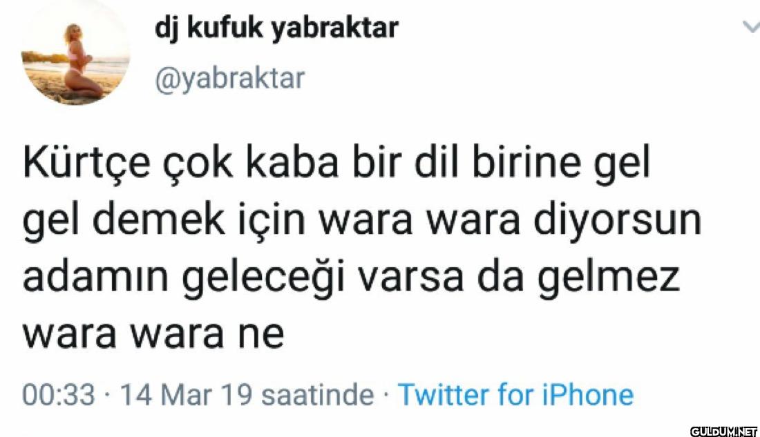 Kürtçe çok kaba bir dil...