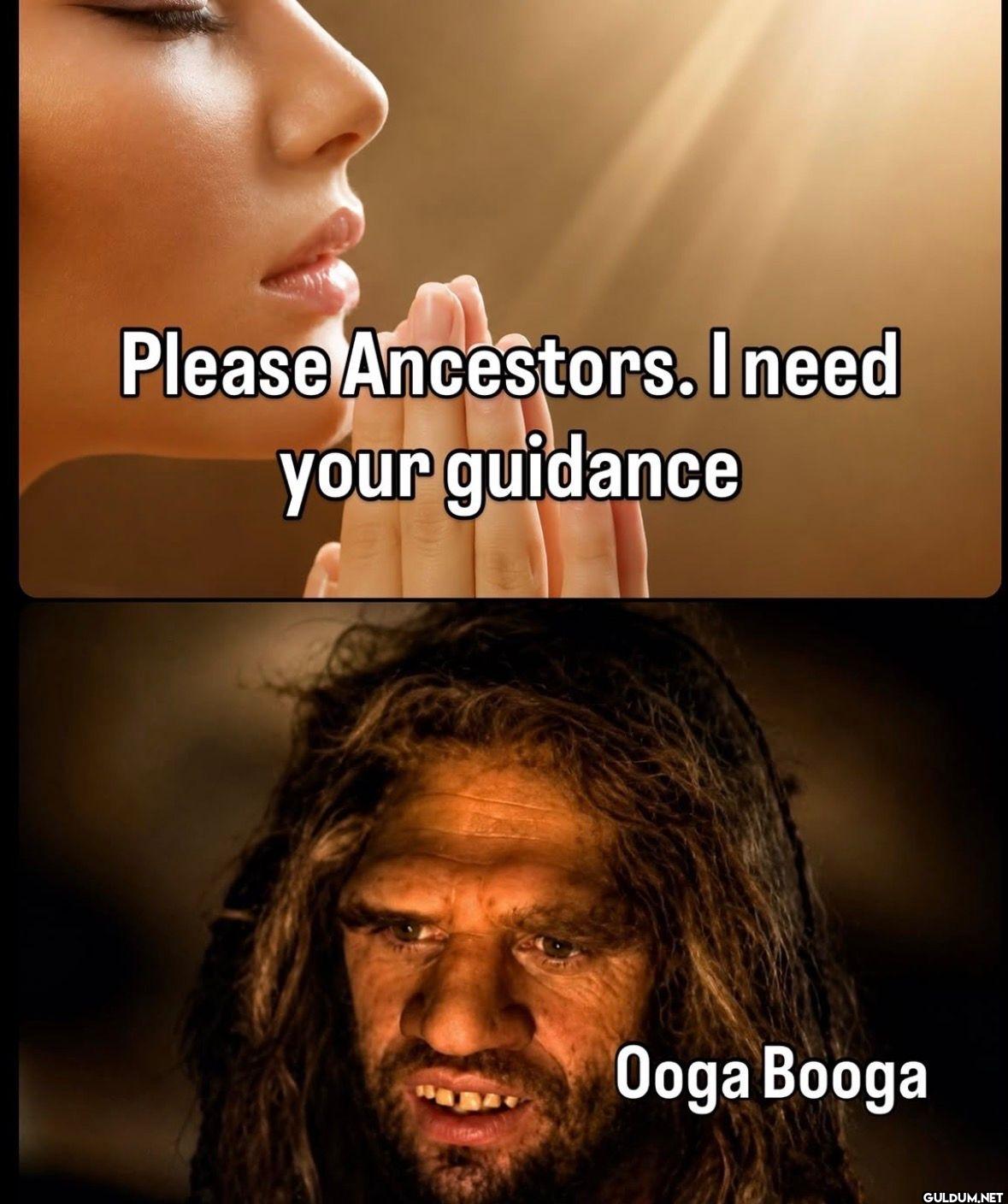 Please Ancestors. I need...
