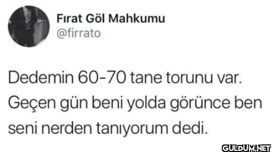Dedemin 60-70 tane torunu...