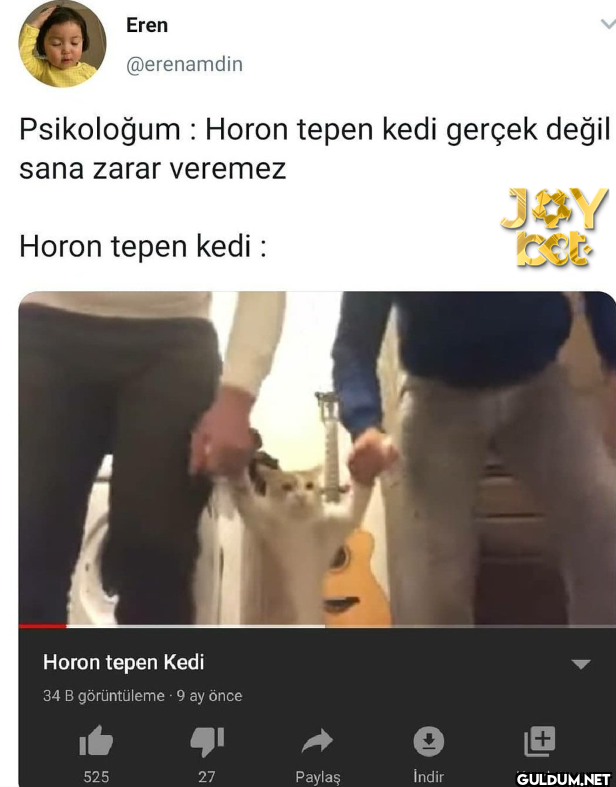 Psikoloğum: Horon tepen...