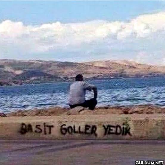 BASIT GOLLER YEDIK