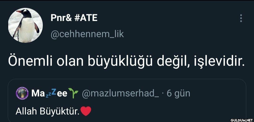 Önemli olan büyüklüğü...