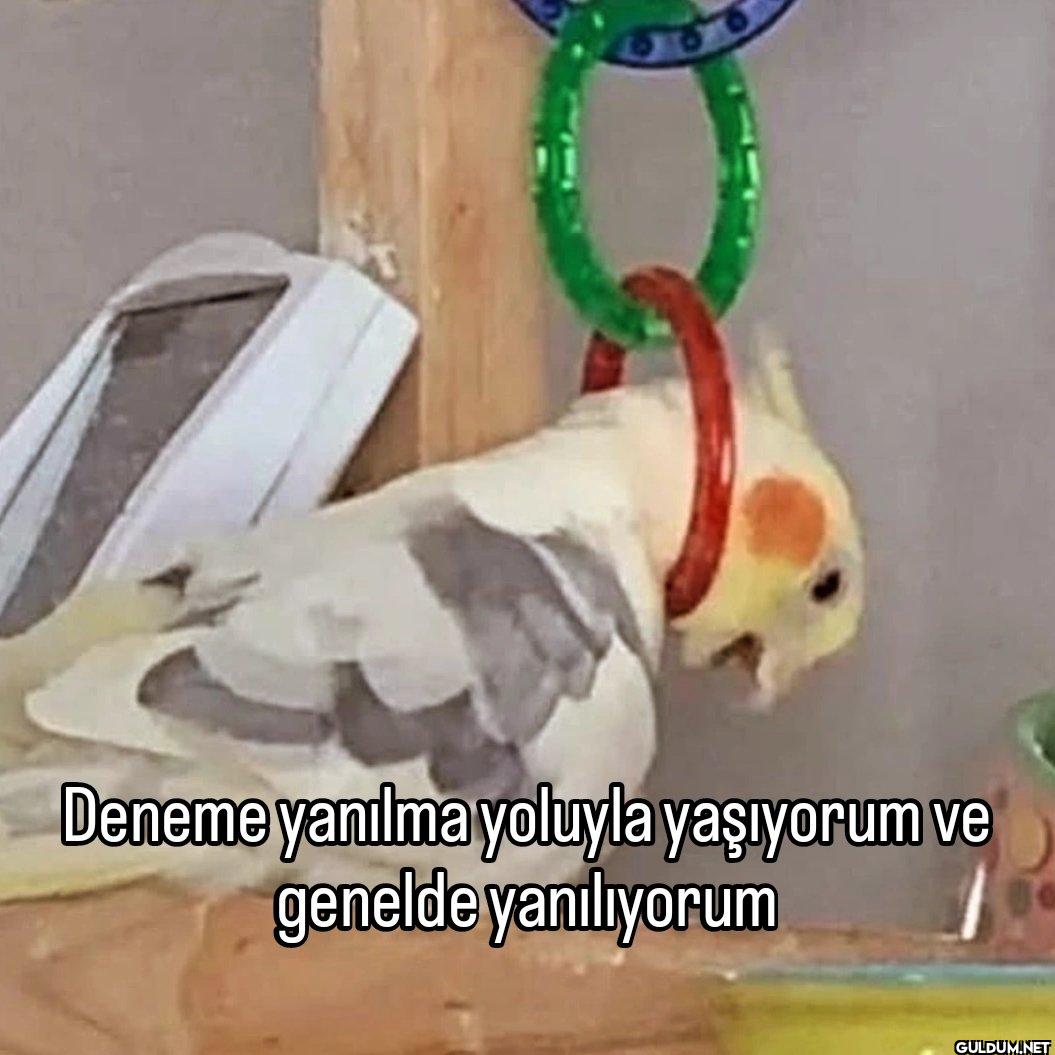 Deneme yanılma yoluyla...