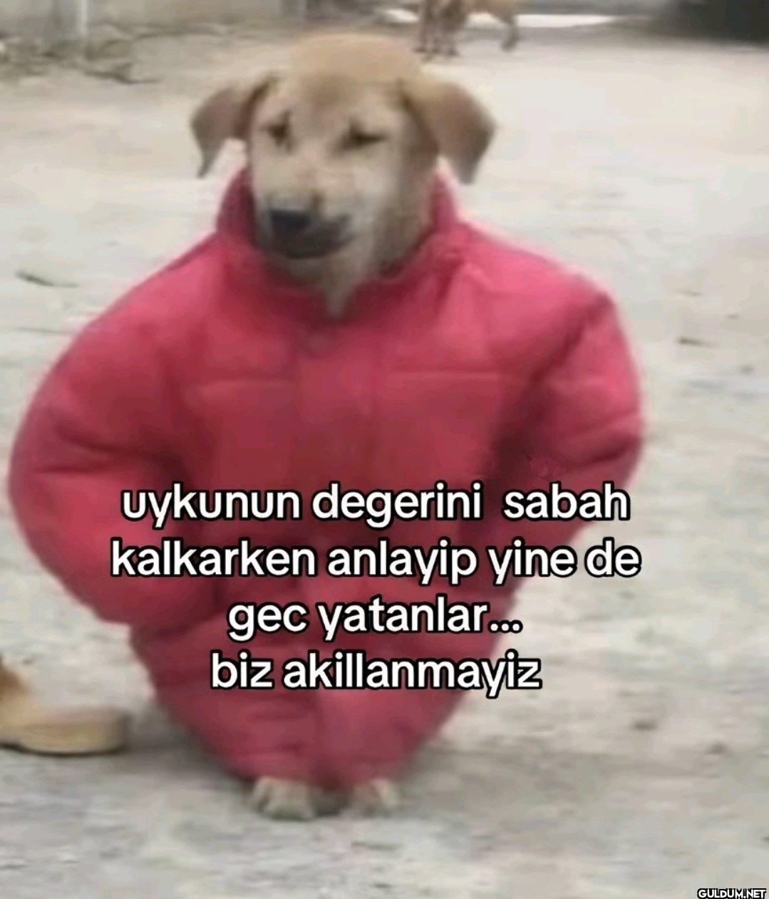 uykunun degerini sabah...