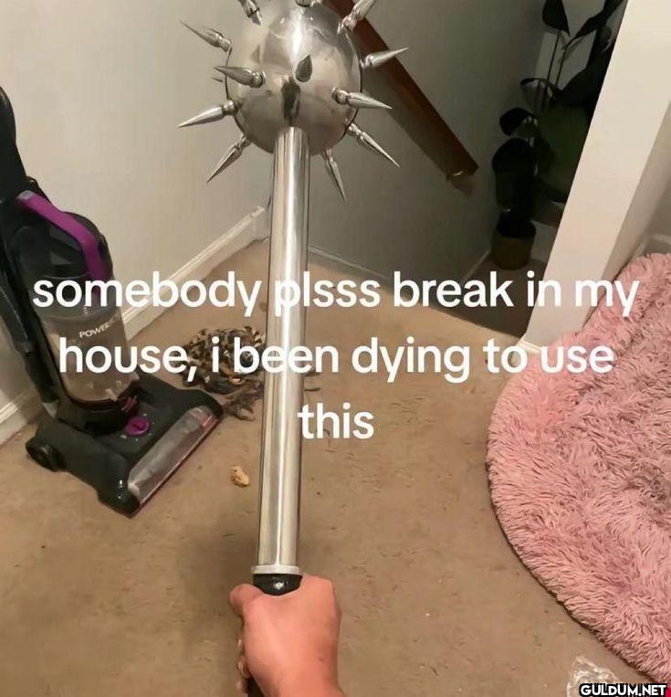 somebody plsss break in my...