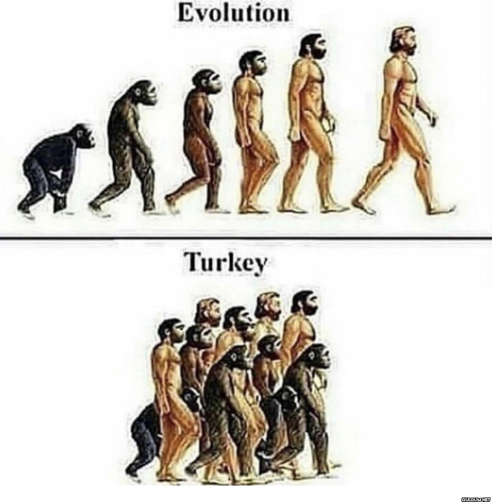 Evolution ø s s I i k Turkey &