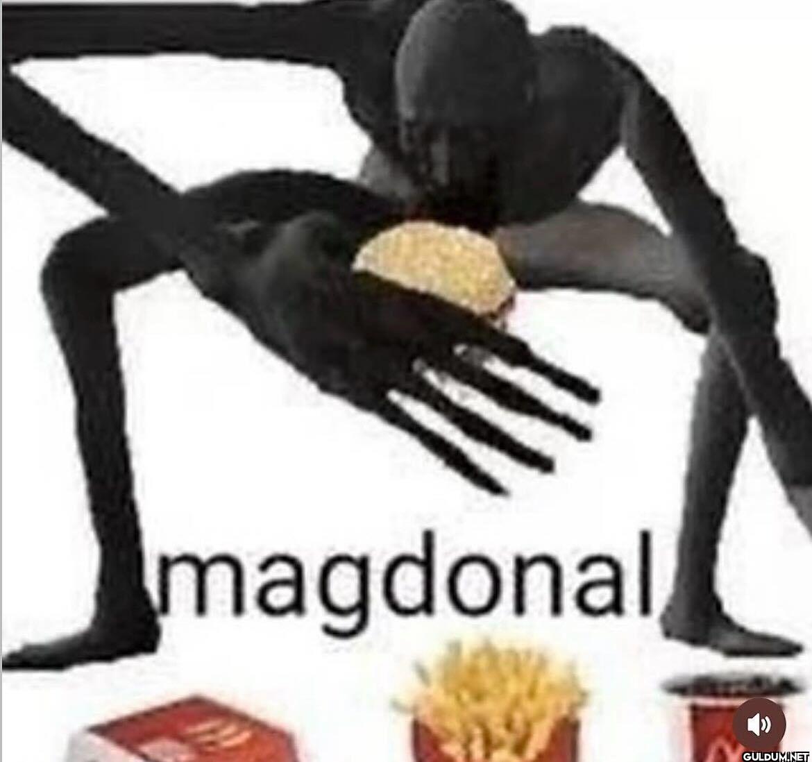 magdonal