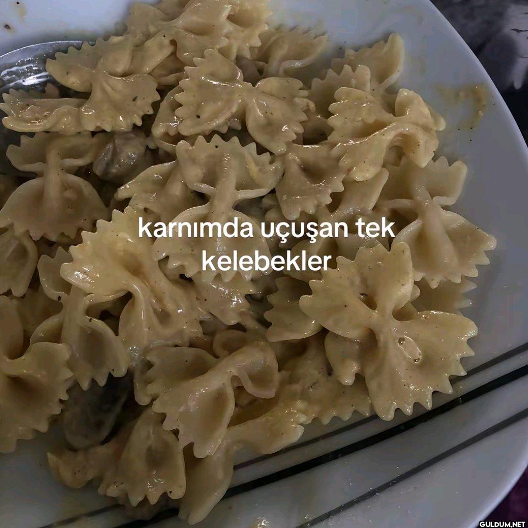 karnımda uçuşan tek kelebekler