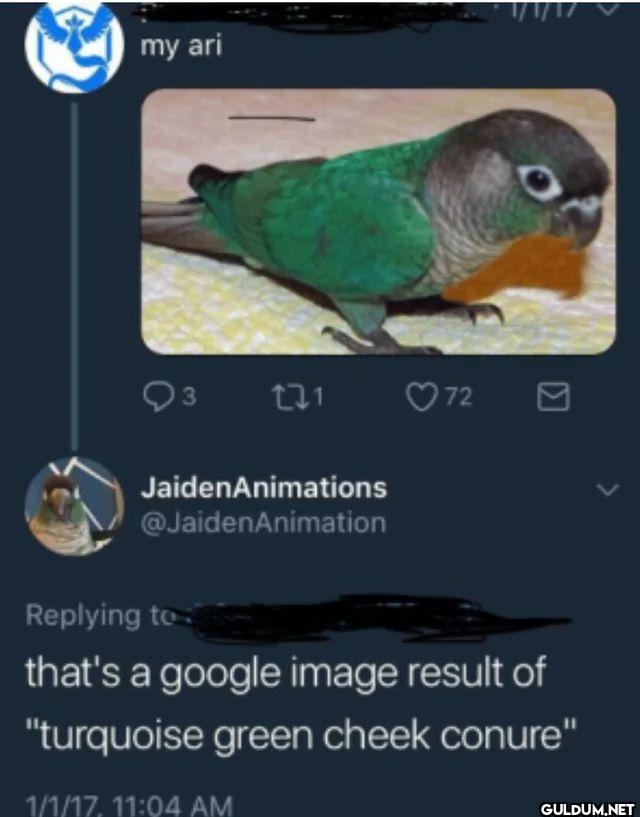my ari that's a google...