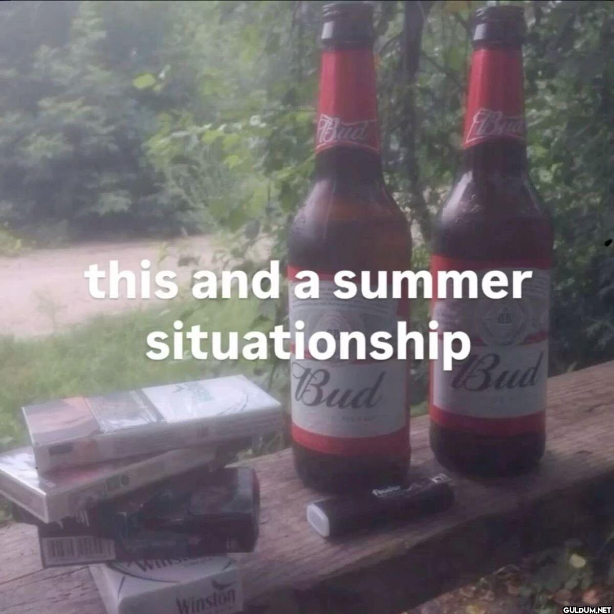 this and a summer situationship