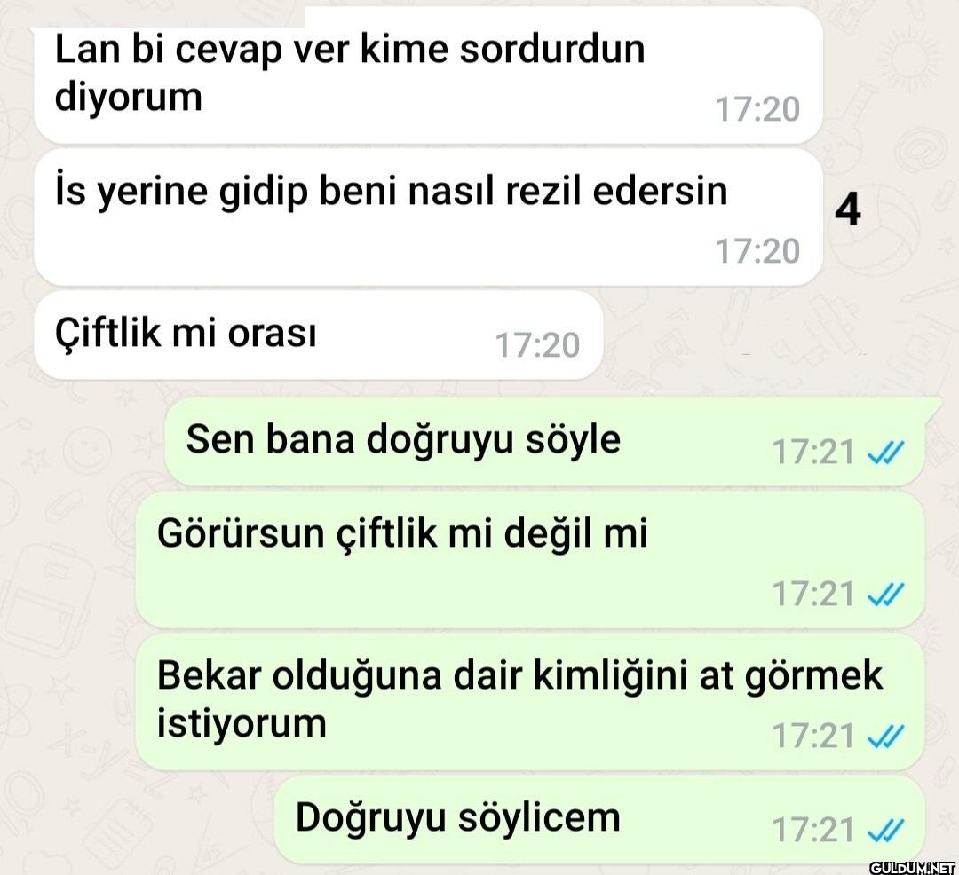 Salak saçma işler...