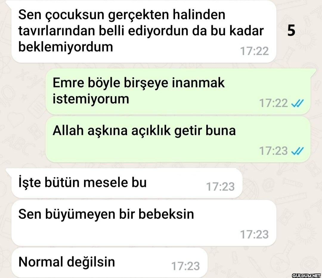 Salak saçma işler...