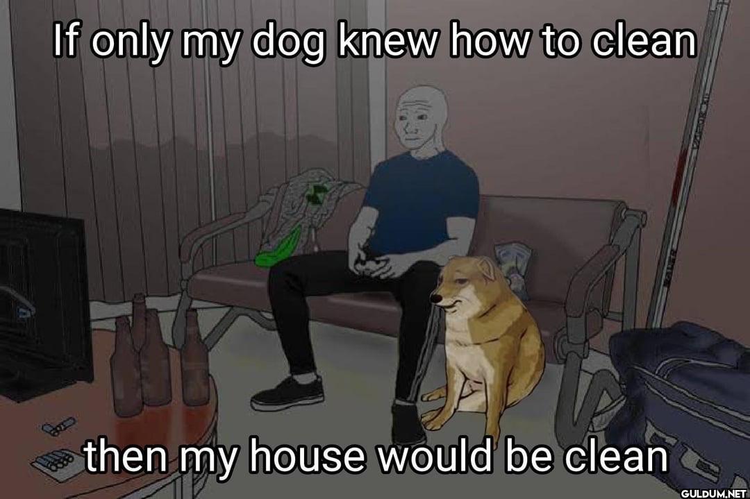 If only my dog knew how to...