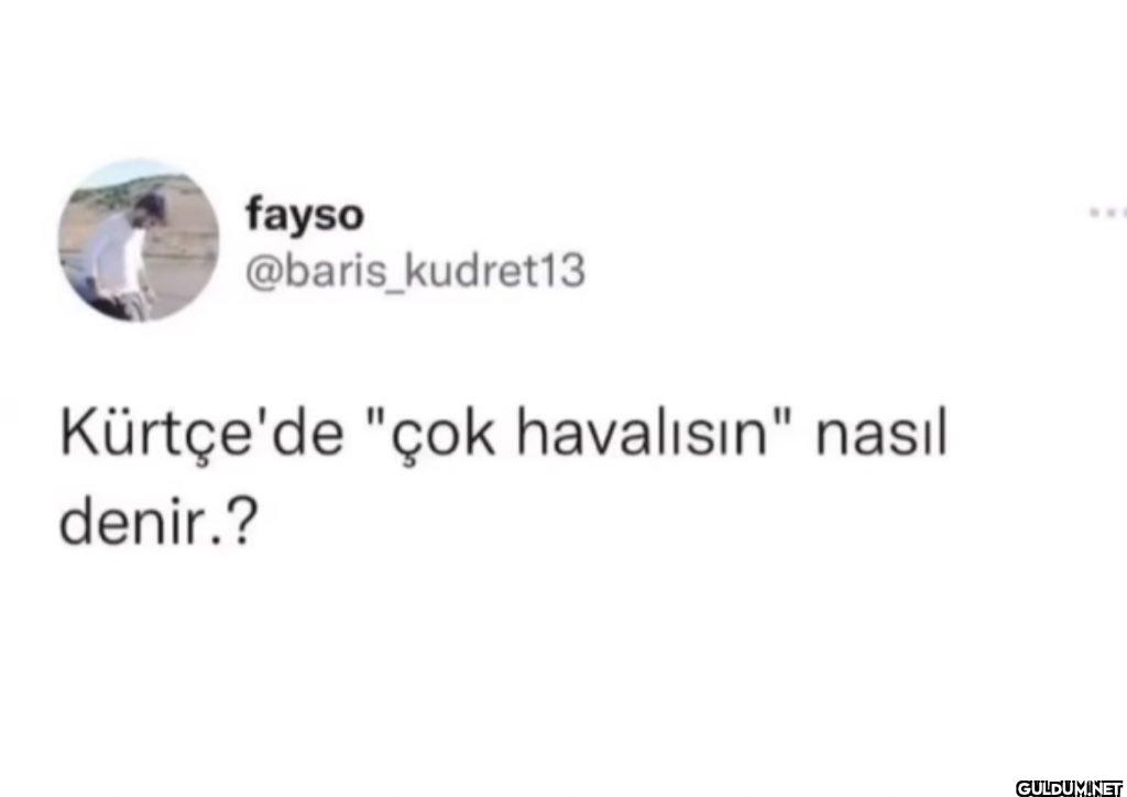 Kürtçe'de "çok havalısın"...