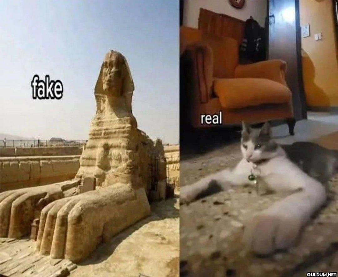 fake real