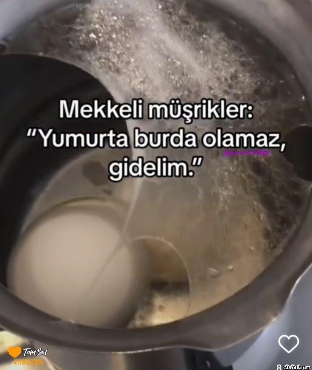 Mekkeli müşrikler:...