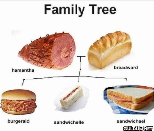 ︎ ︎ ︎ ︎    Family Tree...