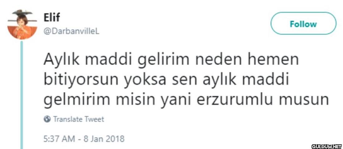 Follow Aylık maddi gelirim...