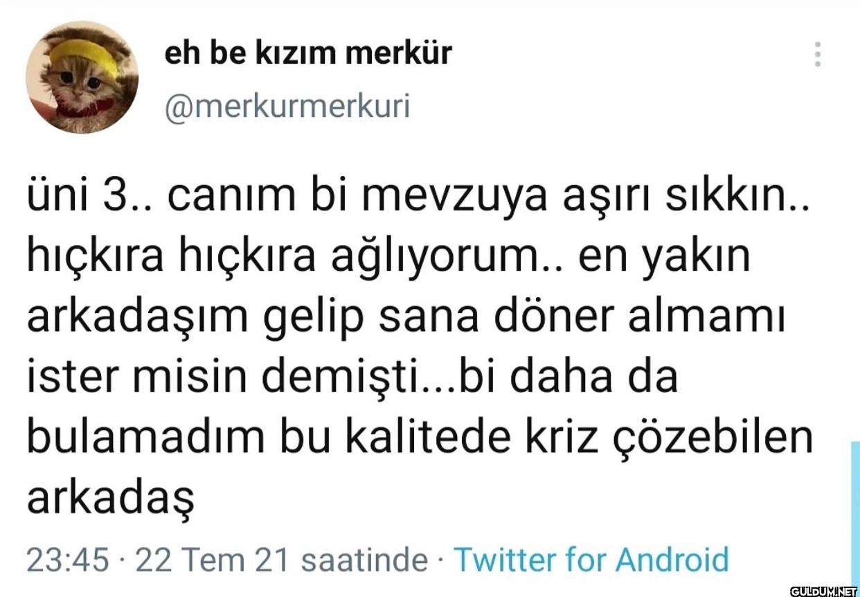 üni 3.. canım bi mevzuya...
