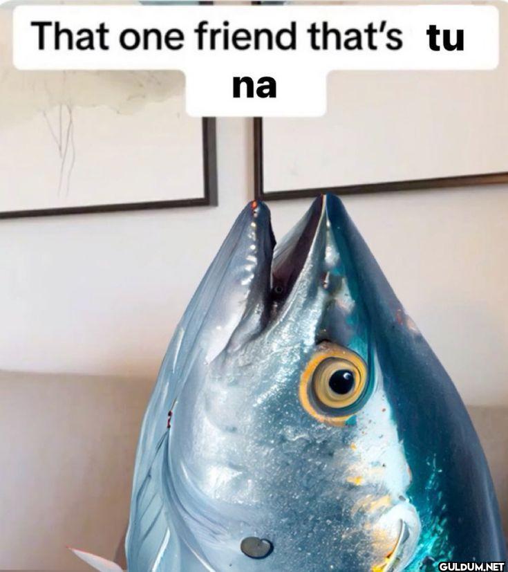 That one friend that's tu na
