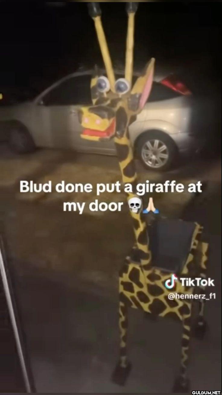 Blud done put a giraffe at...