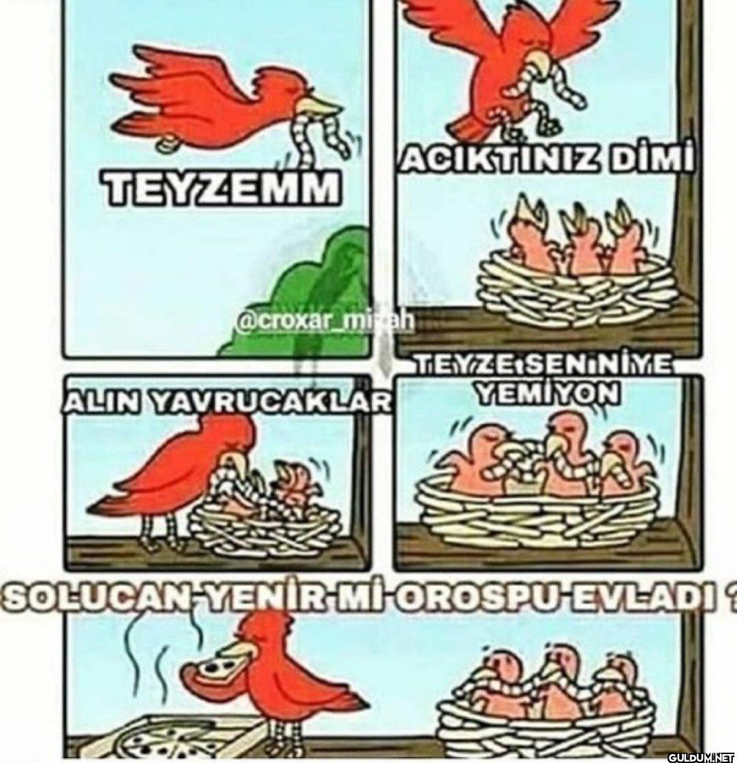 ALIN YAVRUCAKLAR TEYZE...