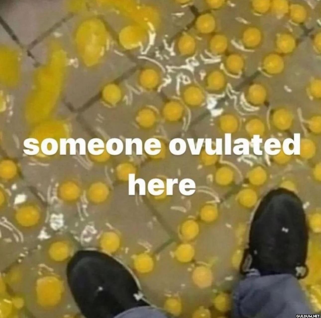 ︎ ︎ ︎ ︎    someone ovulated here