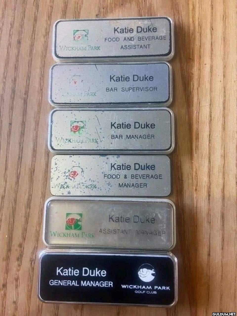 A woman's career in one...