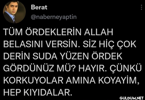 TÜM ÖRDEKLERİN ALLAH...