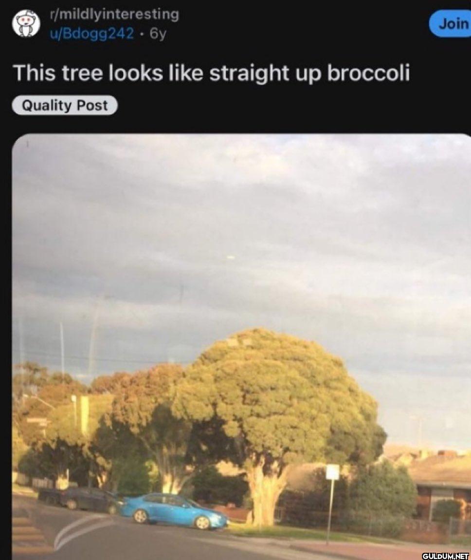 r/mildlyinteresting...