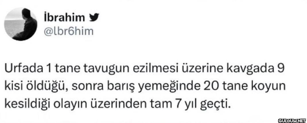 Urfada 1 tane tavugun...