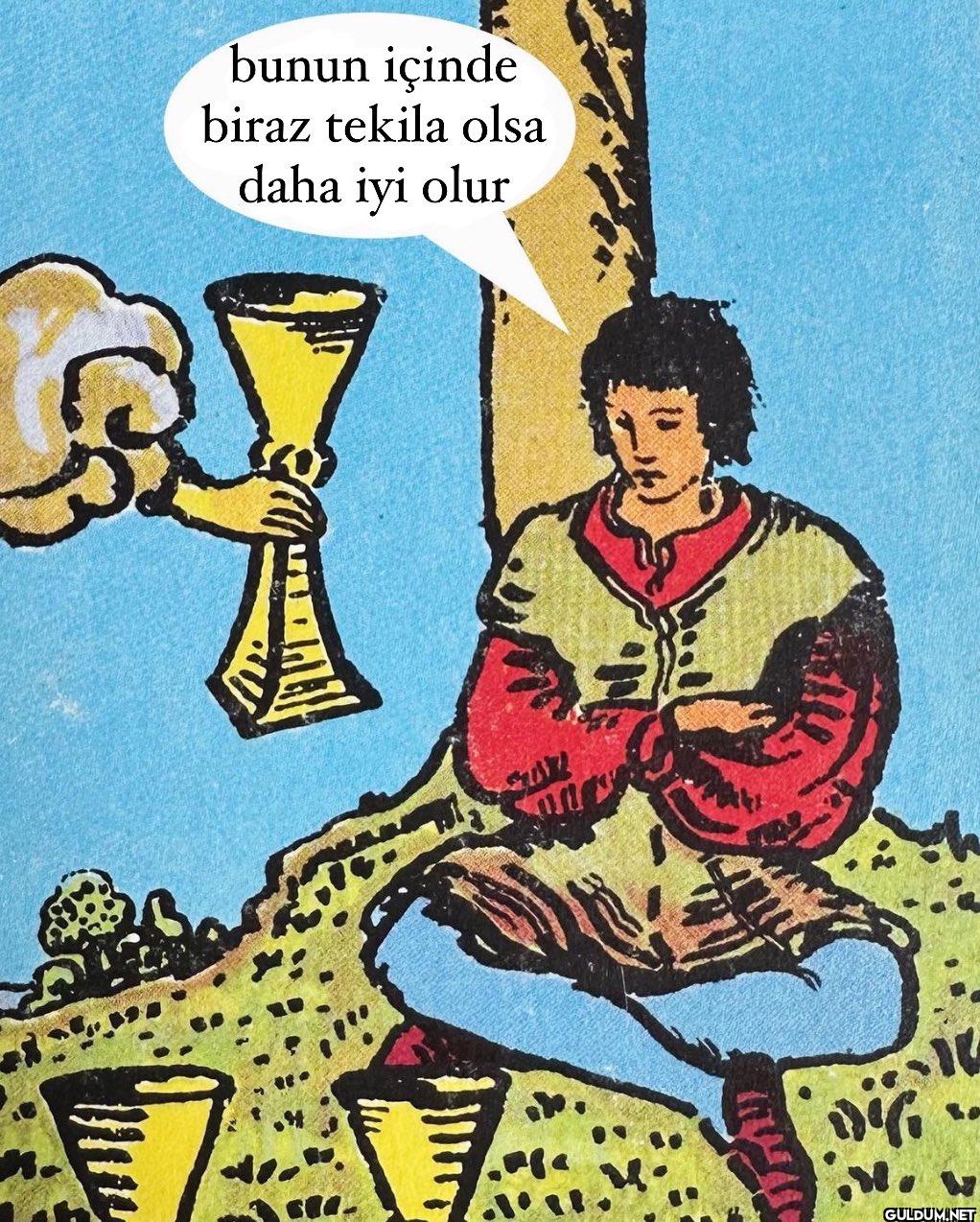 bunun içinde biraz tekila...