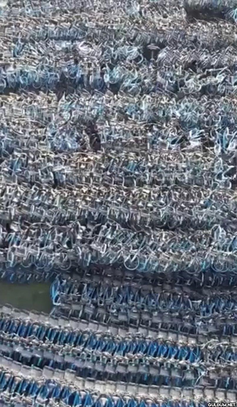 15. Huge bicycle graveyard...