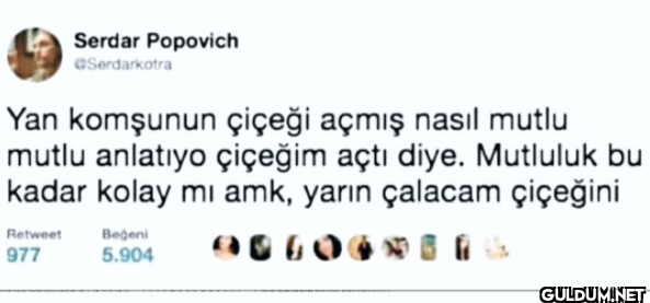 Yan komşunun çiçeği açmış...