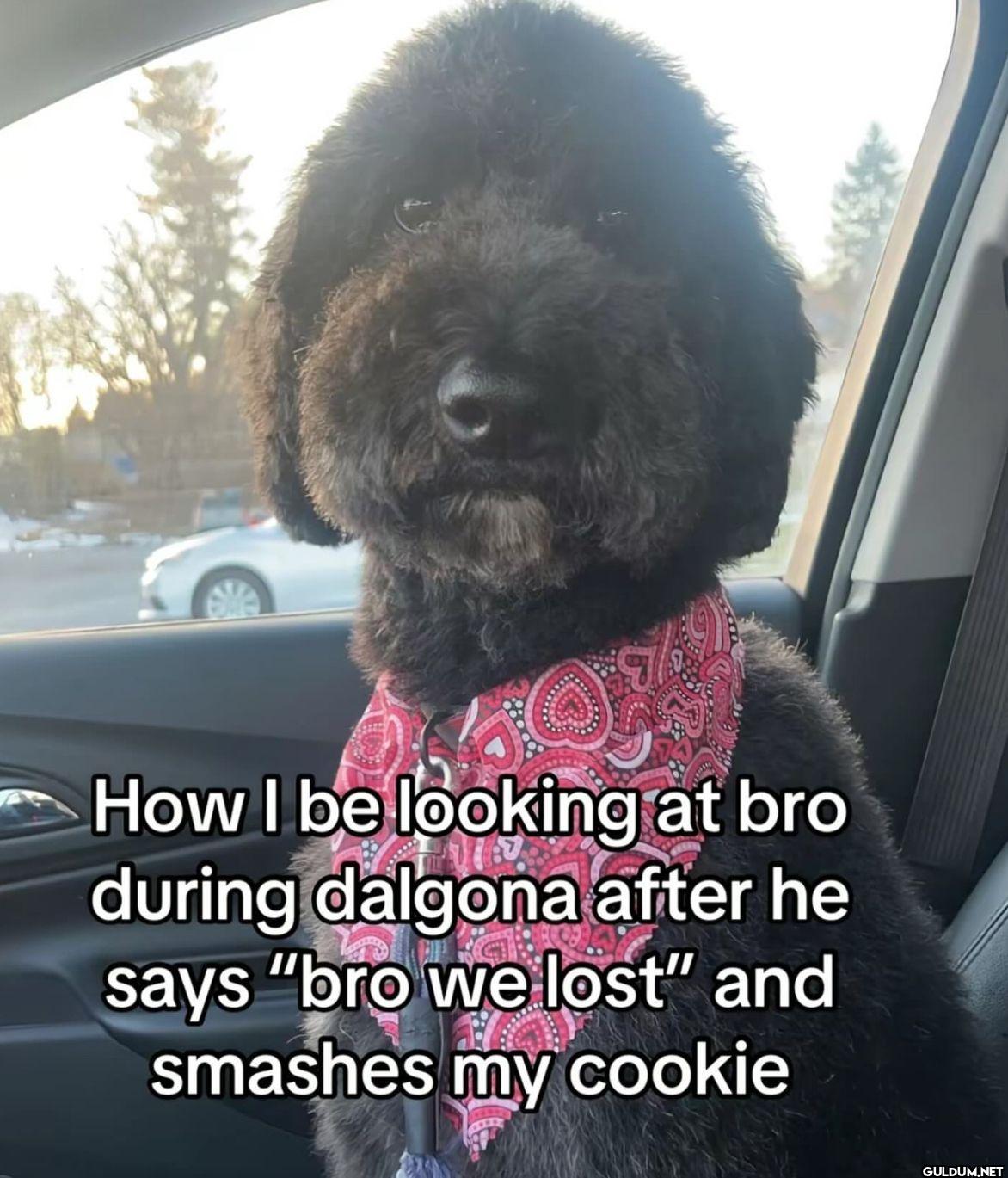 How I be looking at bro...