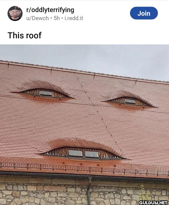 ㅤ    r/oddlyterrifying...