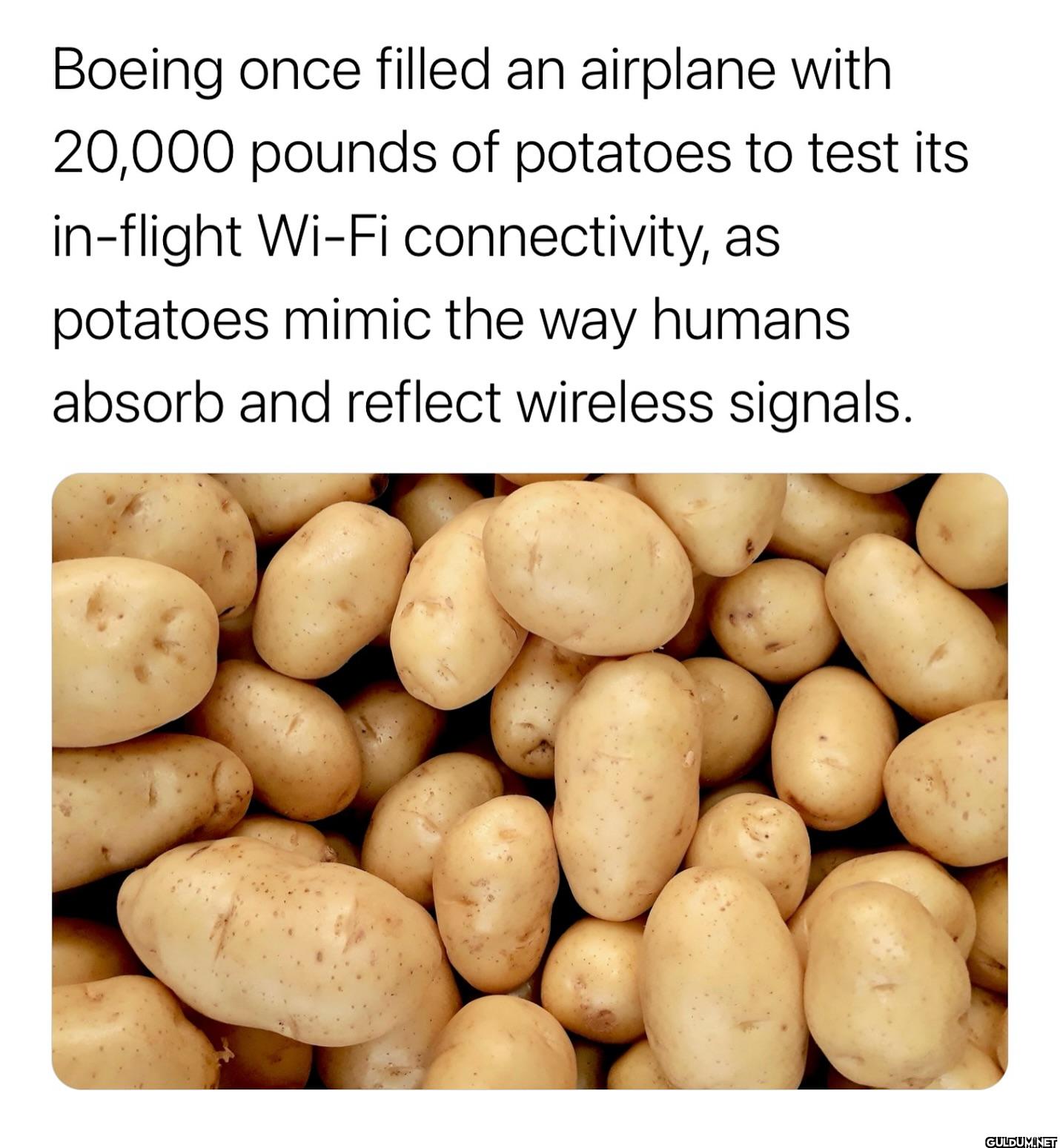 ︎ ︎ ︎    Boeing once...