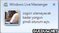Windows Live Messenger x...