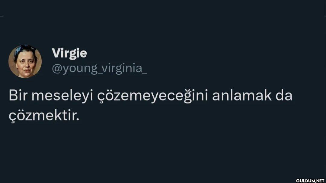 virginia_ Bir meseleyi...