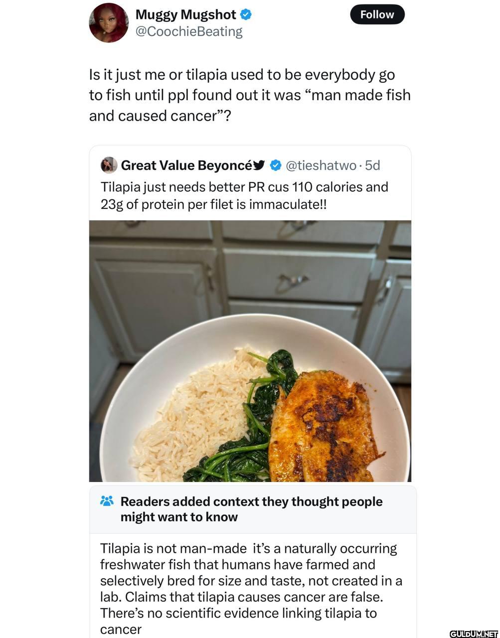Do you eat tilapia?   ...