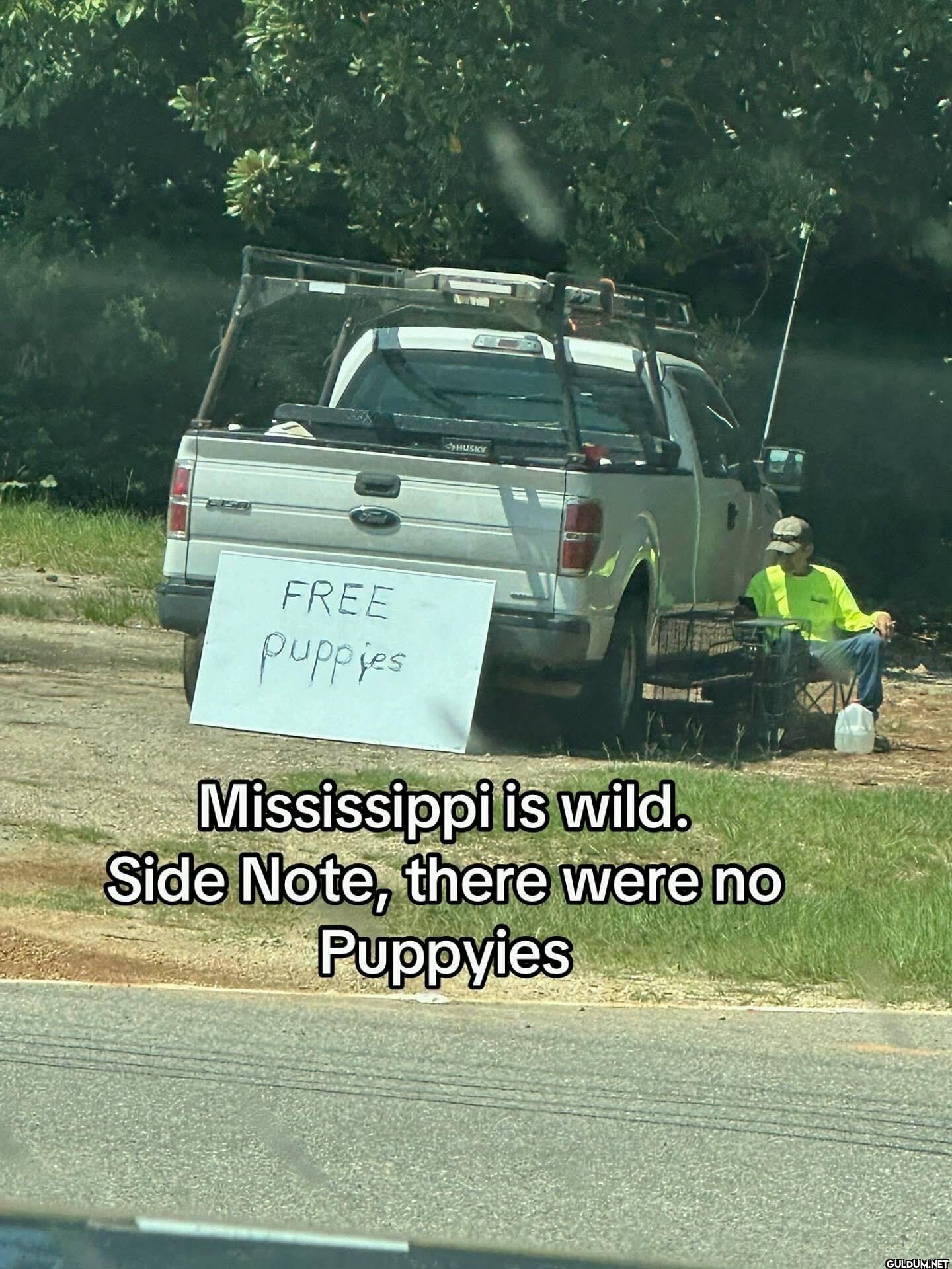 FREE puppyies Mississippi...