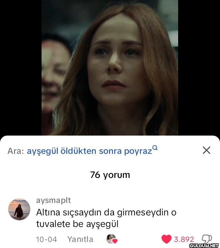 ☑ 3.892 Ara: ayşegül...