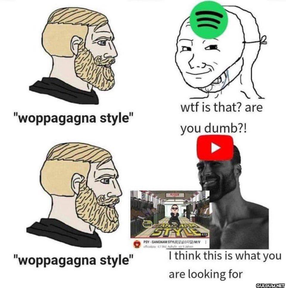 wtf is that? are...