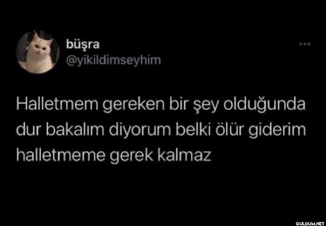 Halletmem gereken bir şey...