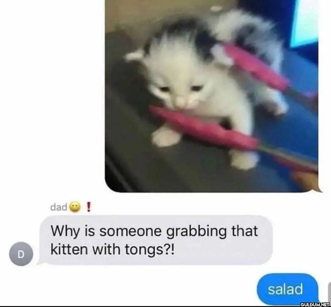 D dad! Why is someone...