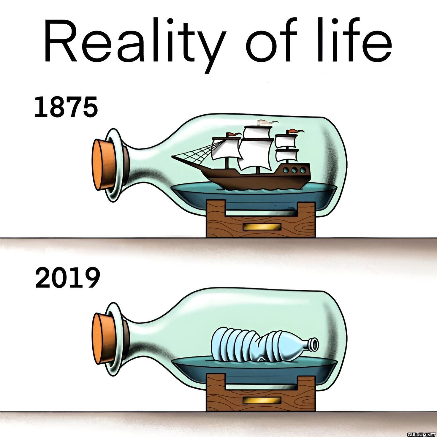 9.    Reality of life 1875 2019