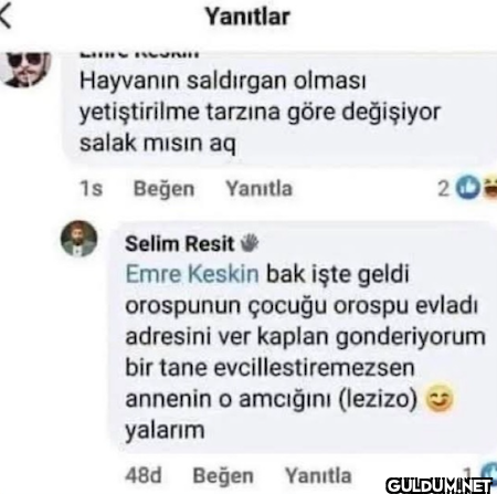 Yanıtlar Hayvanın...