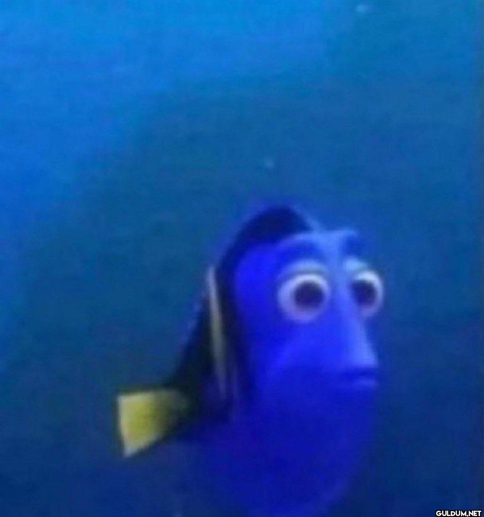“do u remember when?”  me: