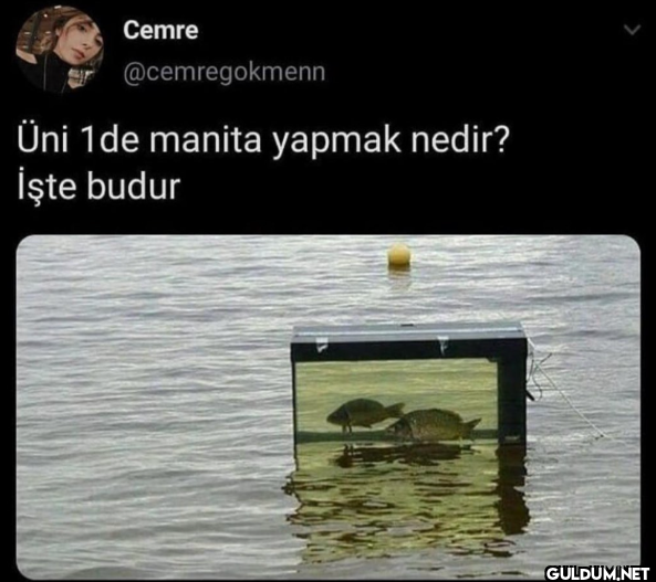 Üni 1de manita yapmak...